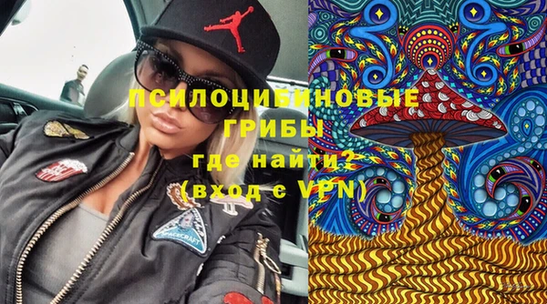 прущая мука Алзамай