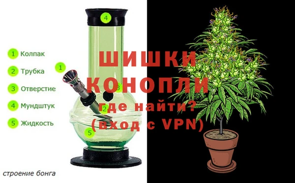 прущая мука Алзамай