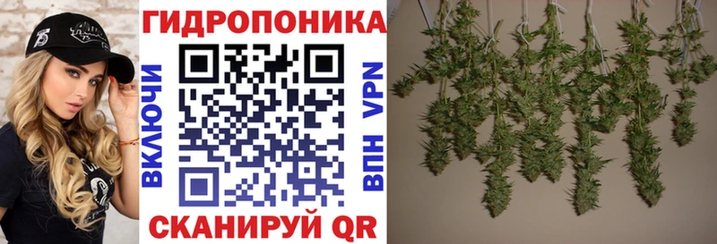 МАРИХУАНА Amnesia  как найти закладки  Муром 